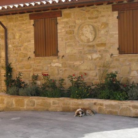 Pietra Maula Agriturismo Castelraimondo Exteriér fotografie