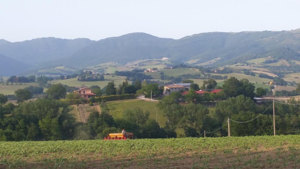 Pietra Maula Agriturismo Castelraimondo Exteriér fotografie