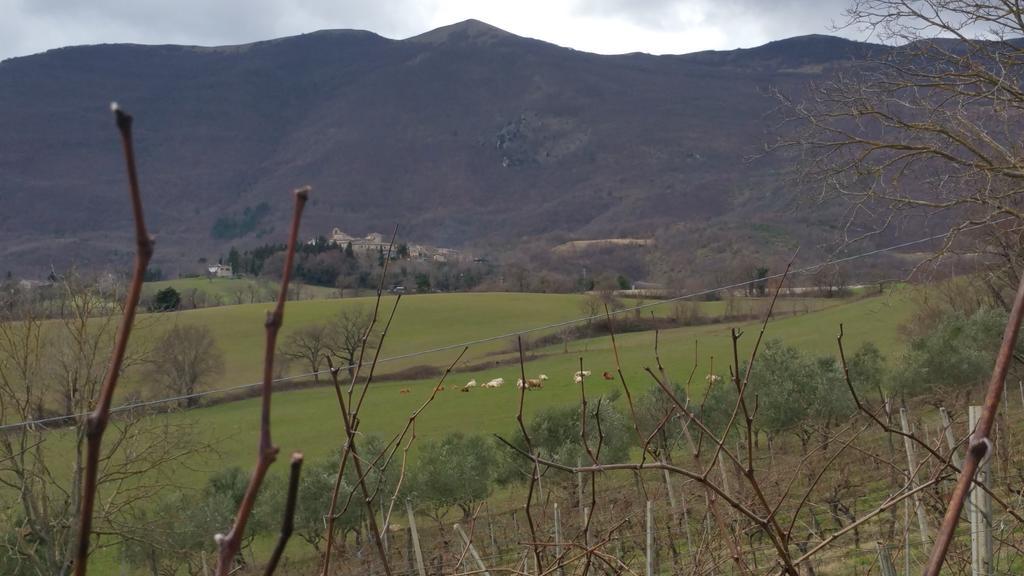 Pietra Maula Agriturismo Castelraimondo Exteriér fotografie