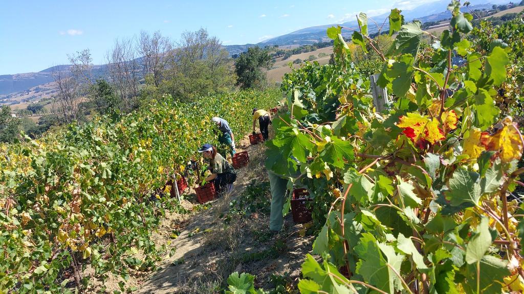 Pietra Maula Agriturismo Castelraimondo Exteriér fotografie