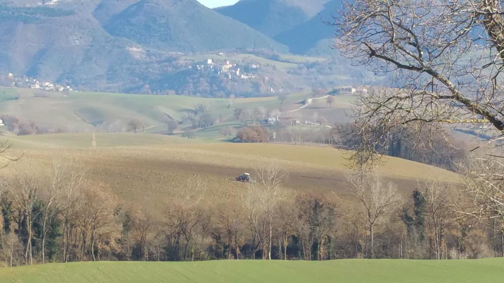 Pietra Maula Agriturismo Castelraimondo Exteriér fotografie